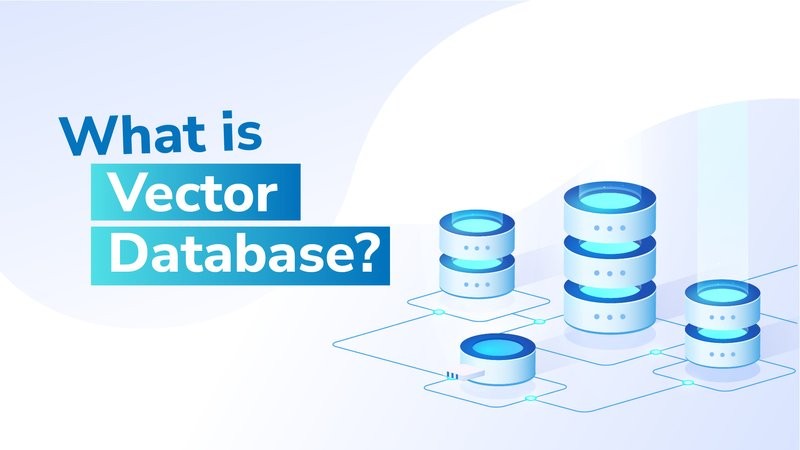 What Is a Vector Database