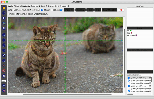 Generate bounding boxes for the cat.